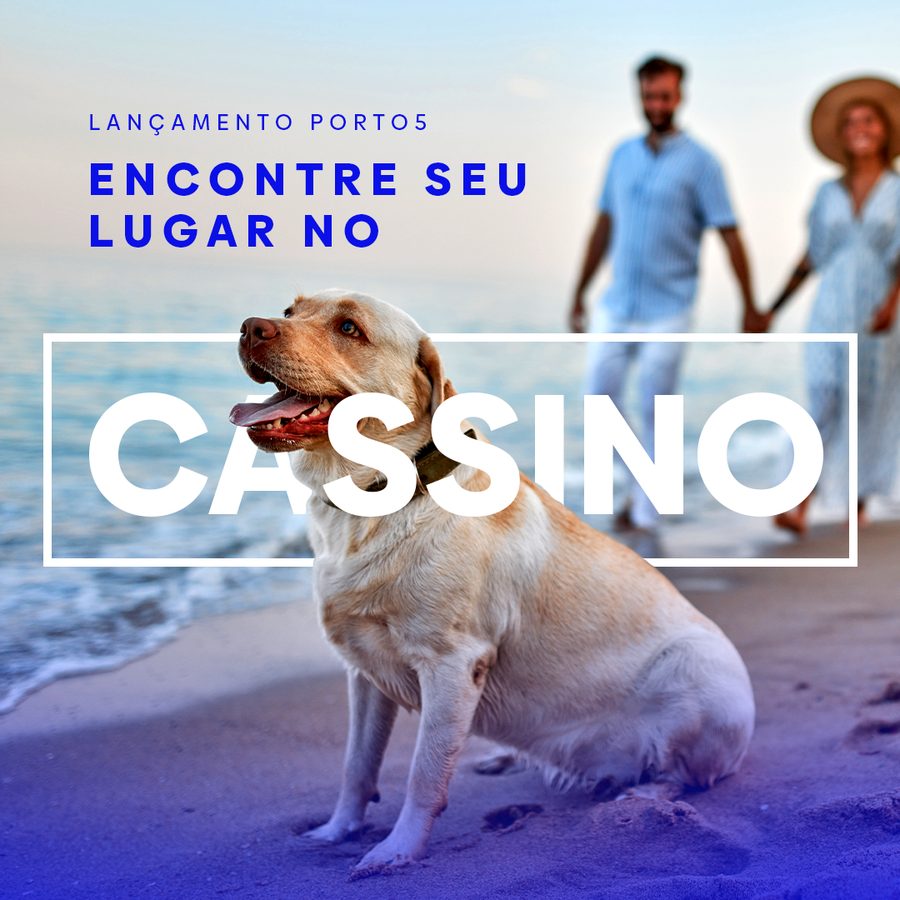 Porto5 launch piece, a dog on the beach with a couple behind.